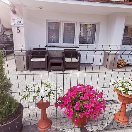 Krysia 50 M Do Morza *